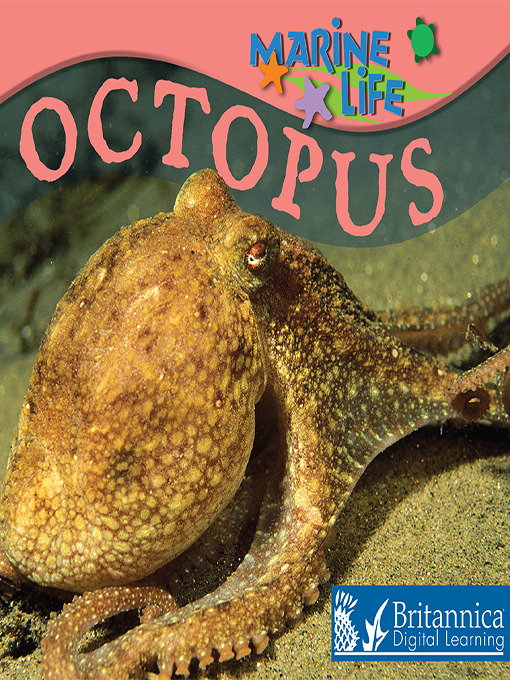 Title details for Octopus by Lynn M. Stone - Available